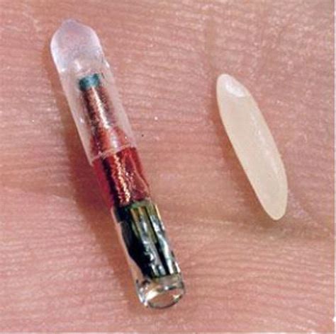 rfid chip gun implant|On Emerging Technology: What to Know When Your .